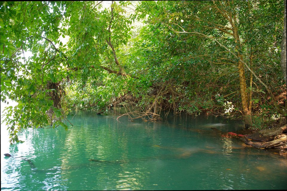 Kali river habitat shot – Karnataka coast